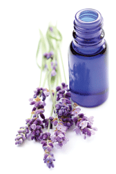 greenclean-lavender