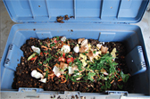 vermicomposting3