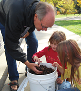 vermicomposting4