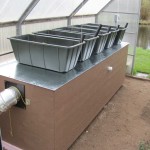 Plants grown in bins right on top of the heat bank stay especially cozy. 