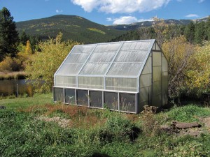 In October, Joanne Lederhos still harvests plenty of tomatoes, while her neighbors at Bailey’s 9,000-foot elevation are unable to grow them at all. In a properly constructed greenhouse, SunnyTherm (the six gray panels at the bottom of the greenhouse) should keep temperatures warm enough for winter crops, with supplemental heat recommended on nights that go below -20 degrees.