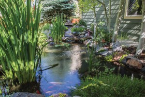 Feature-garden-Gillies14