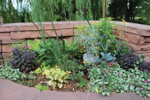 Her shade garden relies on varied leaf textures for interest, including ‘Sem False’ spirea, which is three-toned in spring with pink, yellow and green leaves; purple sedum; yellow ‘Circus’ heuchera leaves with purple veins; white dead nettle; orange ‘Melton Fire’ potentilla; yellow cabbage; purple iris; green-and-yellow-leaved hostas; and pink bleeding hearts.