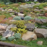 high-altitude-gardening-Yampa-River-Botanic-Park-3