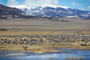 Photo by Mark Bauer/USGS UAS Project Office