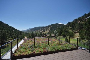 Among the many other benefits it provides, the green roof serves to visually tie the distant landscape to the home. Photo by Rosemary Fivian Architect Inc.