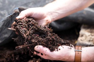 Nurturing the soil is a major component of regenerative farming that could turn the tide of global warming by sequestering more carbon in the soil. Photo by Lawrence Miglialo, courtesy The Valhalla Movement.