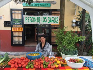 A woman from a neighboring village sells her produce at Vía Orgánica’s rural market in Peñon de los Baños. In addition to production at the ranch, Vía Orgánica sources produce from more than 100 campesino farmers in the region. Photo courtesy The Valhalla Movement.