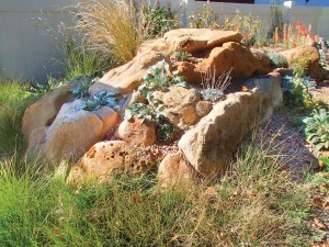 Kenton Seth’s crevice garden nurtures native plants like paintbrush and buffalograss. Photo by Eve Reshetnik Brawner.