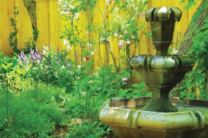 Kristin’s roses are quite happy in this little patch of sunlight next to the fountain, which allows them to grow in an otherwise “very shady part of the yard,” George says. The couple doesn’t fertilize the garden anymore, because the garden seems to grow well without it. “But we do fertilize the pots and new plants to get them established.” Photo by Allison M. Fleetwood Jr., wwwamfjphotography.com. 