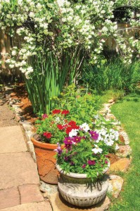 A mock orange bush and Japanese irises grow in a bed on the sunnier west side. “The mock orange blooms in late May or early June and really livens up the yard,” George says. “It’s my favorite plant because it’s so fragrant and holds color for such a long time.” Kristin likes to plant pots for added color, and says cosmos is a terrific container plant. Photo by Allison M. Fleetwood Jr., wwwamfjphotography.com.