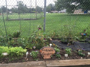 At The Meridian in south Boulder, interested residents receive their own small planter box to tend, and if there aren’t enough planters to go around, they’ll happily build more so everyone can participate. Meridian gardens are a mix of flowers, veggies and herbs. Photo by Carol Brock. 