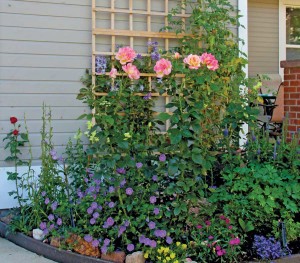 At The Academy in Boulder, staff members tend a gorgeous on-site flower garden and water feature, but several residents also have private flower gardens in their front yards. Photo by Amy Gosch.