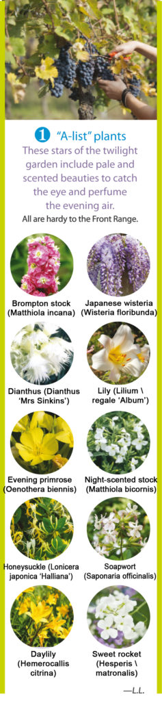 A-List-plants
