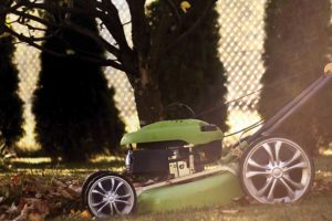 Photo of lawnmower by Konecny