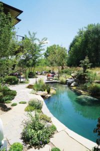 AFTER- “We wanted this to be a natural pool,” says Deemer, who installed a biofiltration peat-bog system so plants, and the fish they may get in the future, could thrive. (photo by Scott Deemer, courtesy Outdoor Craftsmen)