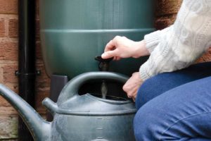 Attach a hose to a rain barrel’s spigot. (Photo by DJ Taylor)