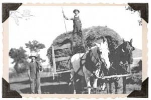 Inset: Richard Behrmann, left, and his father, August Behrmann, along with their horses Tony (left) and Topsy, pause their work for a photo in 1939. It was taken on the plot of land where Richard Behrmann still lives, just north of Haystack Mountain.