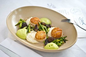 Seared sea scallops with buttermilk whipped potatoes, asparagus, morel mushrooms and pea mousse 