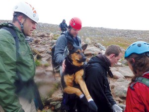 Animal Help Now's free app helps users in emergencies like this one where an injured dog was rescued on Mount Bierstadt. 