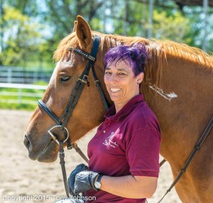 horse-different-color-Kathy-King-Johnson