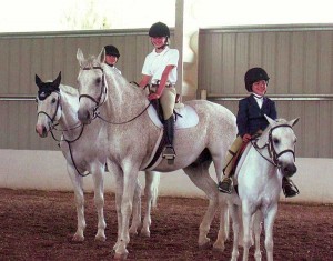 Lessons, birthday parties, and horse shows and camps help Triple Creek Ranch thrive. (Photo courtesy Triple Creek Ranch)