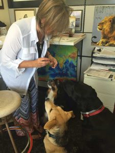 Treat time for office dogs at Natural Habitat Adventures in Louisville. (photo courtesy Natural Habitat Adventures; Susan Schmitz) 