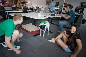 SparkFun staffers take a play break. (photo courtesy Sparkfun)